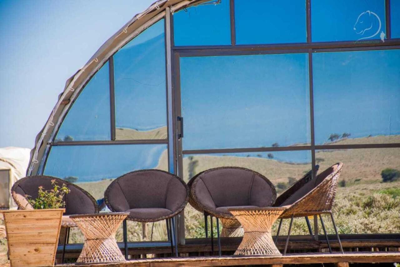 Amanya 2-Rooms Lioness Family أمبوسيلي المظهر الخارجي الصورة