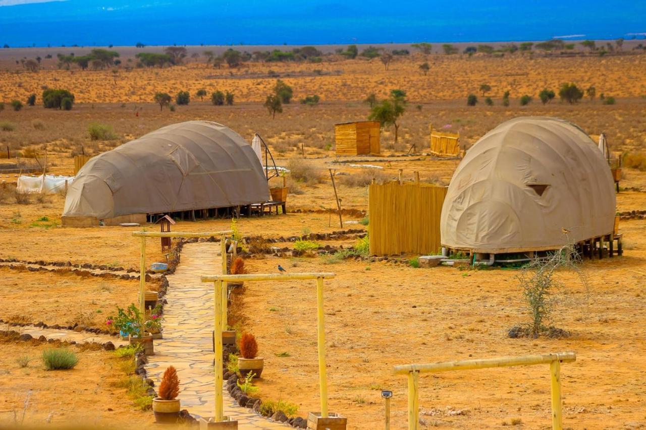 Amanya 2-Rooms Lioness Family أمبوسيلي المظهر الخارجي الصورة