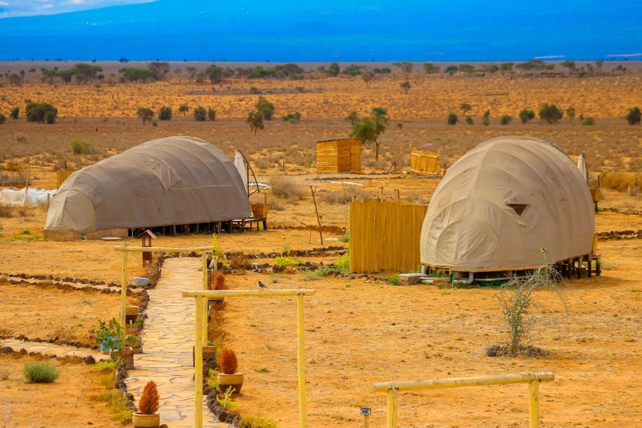 Amanya 2-Rooms Lioness Family أمبوسيلي المظهر الخارجي الصورة